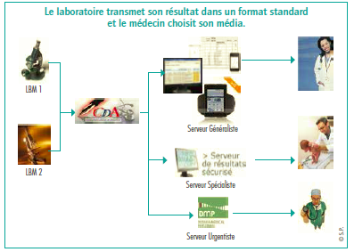 stratégie résultats de biologie